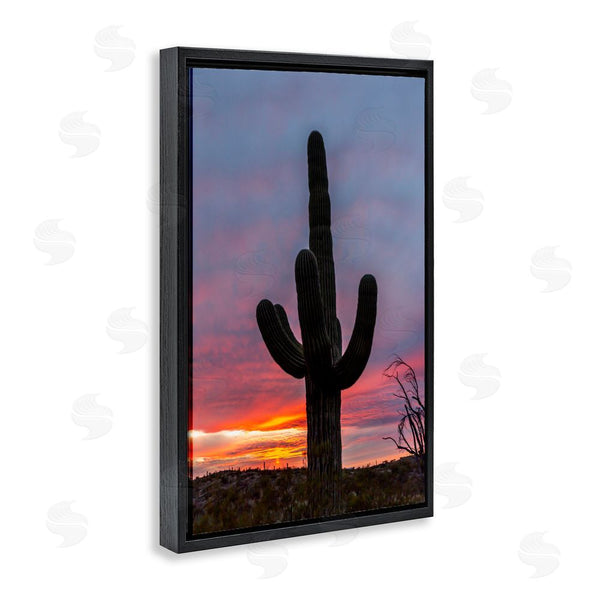 Stupell Industries Jeff Poe Photography | Arizona Cactus At Sunset Wall Art
