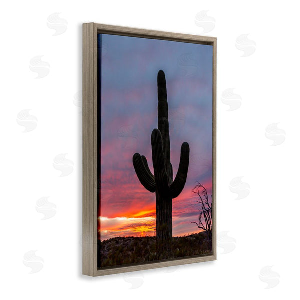 Stupell Industries Jeff Poe Photography | Arizona Cactus At Sunset Wall Art