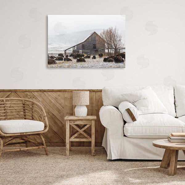 Stupell Industries Jeff Poe Photography | Colorado Buffalo Snowy Farm Wall Art