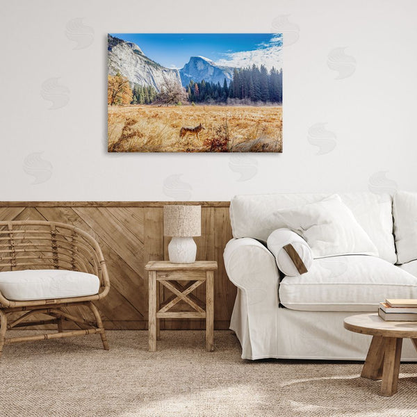 Stupell Industries Jeff Poe Photography | Coyote In Mountain Prairie Wall Art