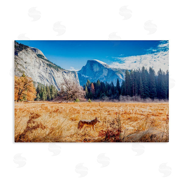 stupell industries Jeff Poe Photography | Coyote in Mountain Prairie Wall Art