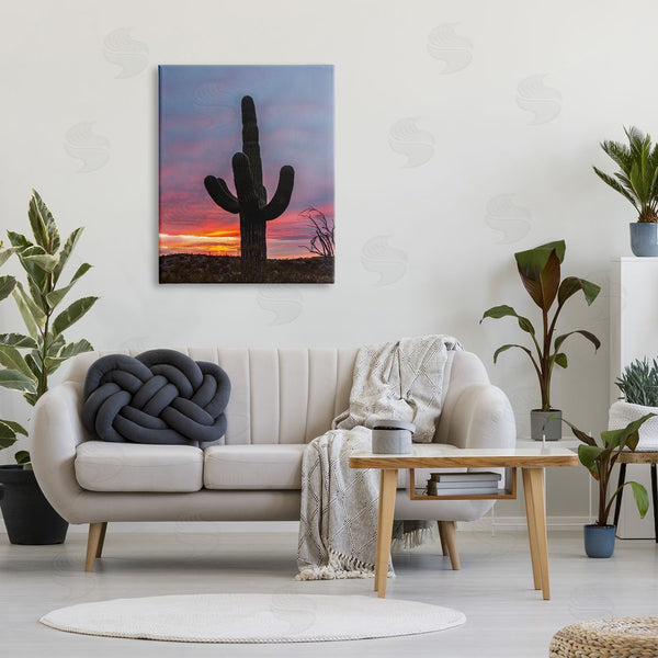 Stupell Industries Jeff Poe Photography | Desert Cactus Plant Silhouette Radiant Sunset Sky Wall Art