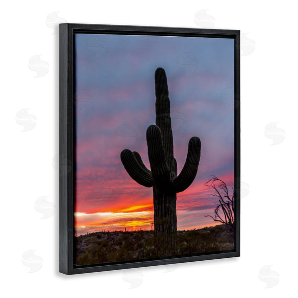 Stupell Industries Jeff Poe Photography | Desert Cactus Plant Silhouette Radiant Sunset Sky Wall Art