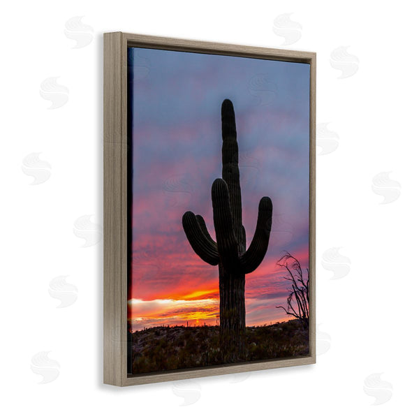 Stupell Industries Jeff Poe Photography | Desert Cactus Plant Silhouette Radiant Sunset Sky Wall Art