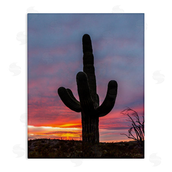 stupell industries Jeff Poe Photography | Desert Cactus Plant Silhouette Radiant Sunset Sky Wall Art