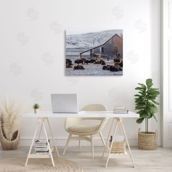 Stupell Industries Jeff Poe Photography | Grazing Rural Bison Snowy Farmland Barn Scenery Wall Art