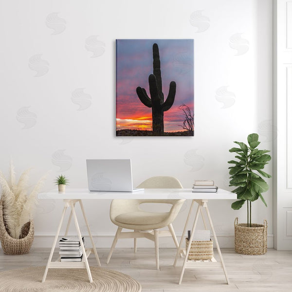 Stupell Industries Jeff Poe Photography | Looming Desert Cactus Silhouette Wall Art