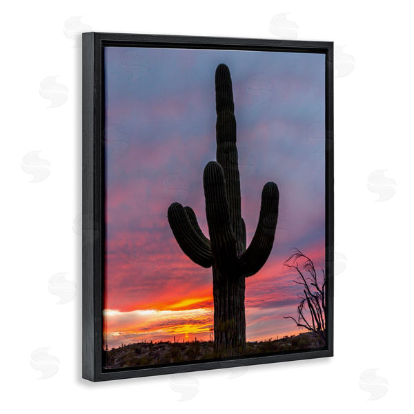 Stupell Industries Jeff Poe Photography | Looming Desert Cactus Silhouette Wall Art