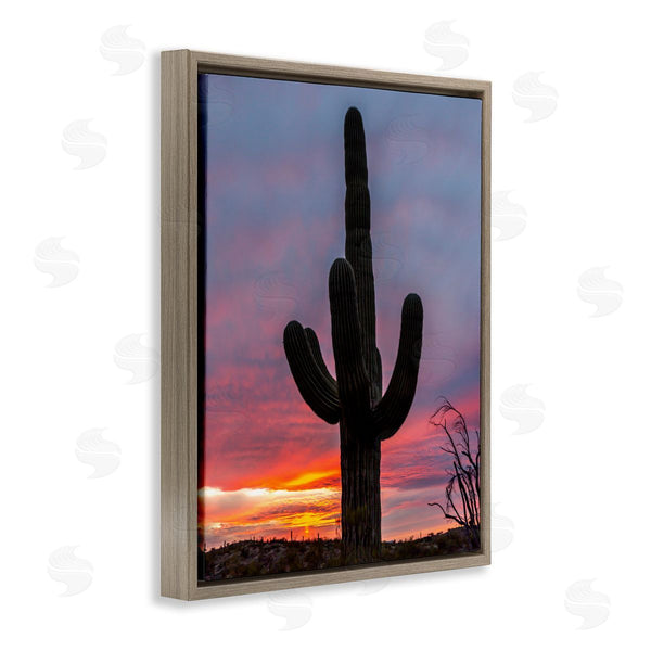 Stupell Industries Jeff Poe Photography | Looming Desert Cactus Silhouette Wall Art