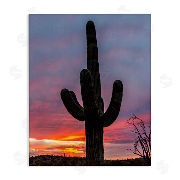 stupell industries Jeff Poe Photography | Looming Desert Cactus Silhouette Wall Art