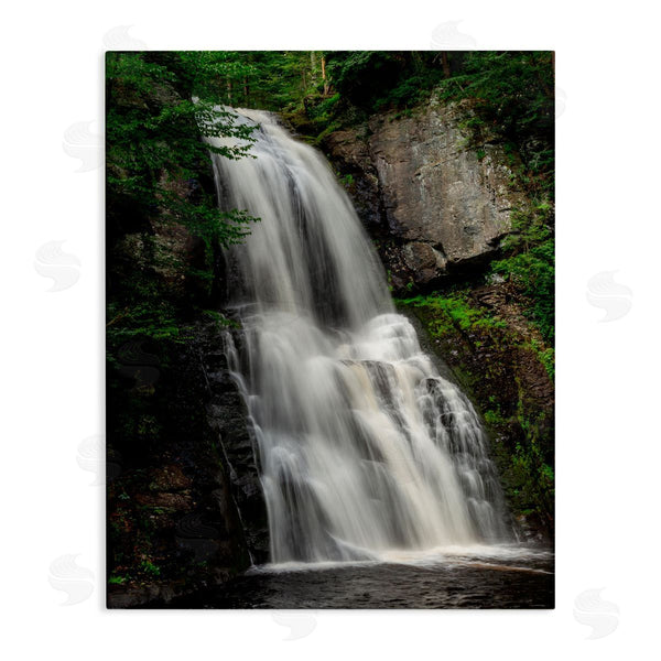 stupell industries Jeff Poe Photography | Lush Waterfall Flow Wall Art