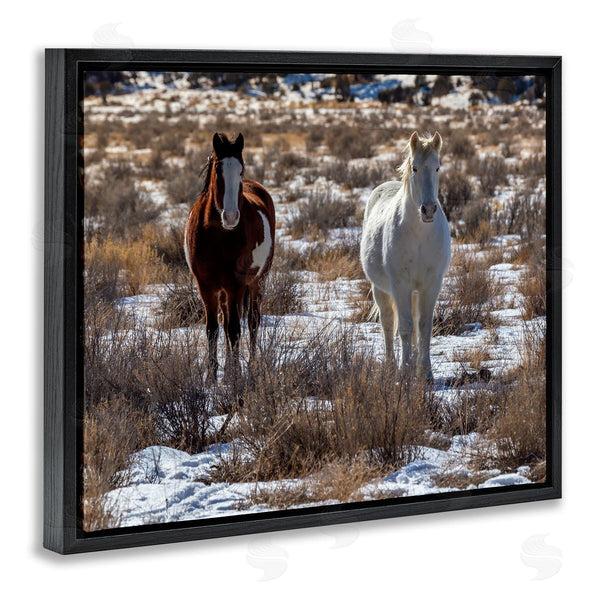 Stupell Industries Jeff Poe Photography | Pair Horses Walking Through Snow Dusted Grassland Wall Art
