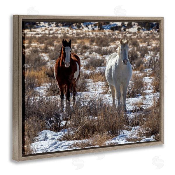 Stupell Industries Jeff Poe Photography | Pair Horses Walking Through Snow Dusted Grassland Wall Art