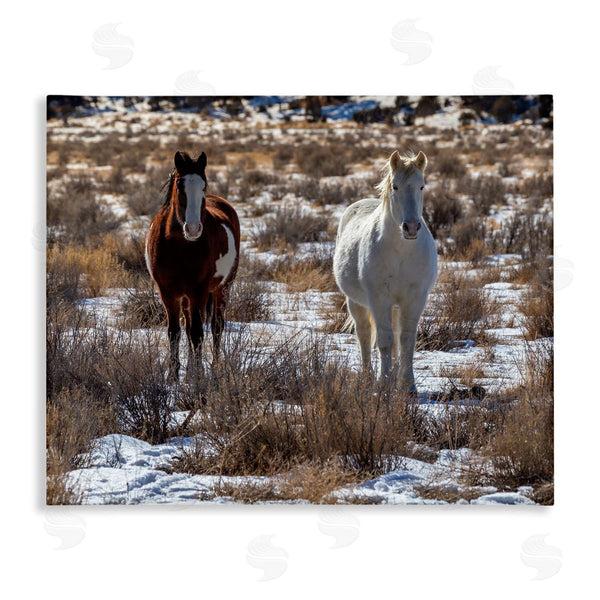 stupell industries Jeff Poe Photography | Pair Horses Walking Through Snow Dusted Grassland Wall Art