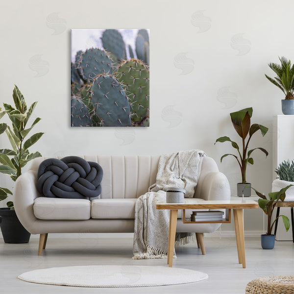 Stupell Industries Jeff Poe Photography | Prickly Cactus Thorns Close Up Photography Desert Vegetation Wall Art