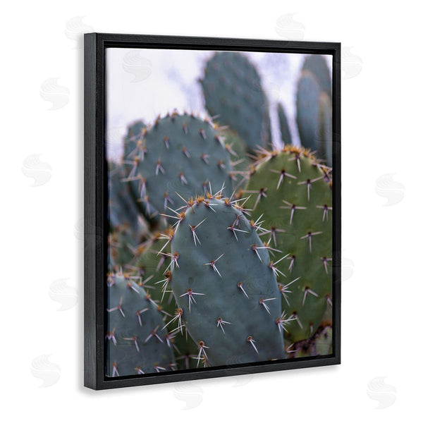 Stupell Industries Jeff Poe Photography | Prickly Cactus Thorns Close Up Photography Desert Vegetation Wall Art