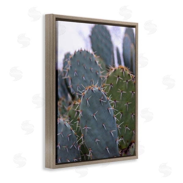 Stupell Industries Jeff Poe Photography | Prickly Cactus Thorns Close Up Photography Desert Vegetation Wall Art