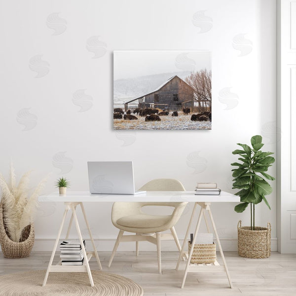 Stupell Industries Jeff Poe Photography | Snow Dusted Barn Buffalo Bison Rural Farm Wall Art