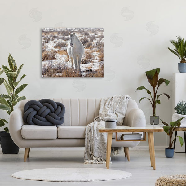 Stupell Industries Jeff Poe Photography | Winter Snow Horse Wildlife Wall Art