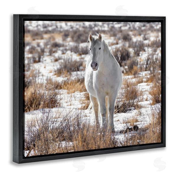 Stupell Industries Jeff Poe Photography | Winter Snow Horse Wildlife Wall Art