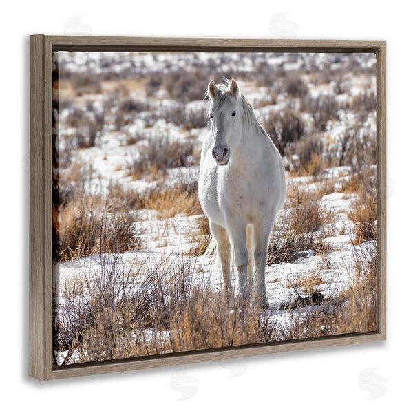 Stupell Industries Jeff Poe Photography | Winter Snow Horse Wildlife Wall Art