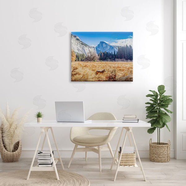 Stupell Industries Jeff Poe Photography | Wolf Grazing Rural Grassland Clear Sky Mountains Wall Art