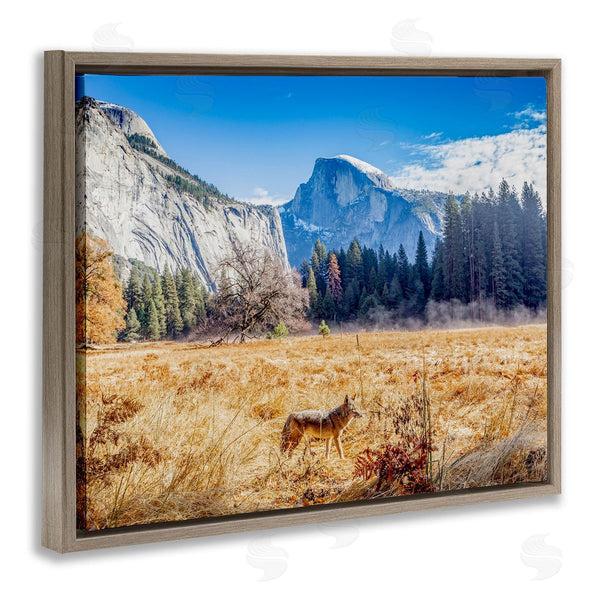 Stupell Industries Jeff Poe Photography | Wolf Grazing Rural Grassland Clear Sky Mountains Wall Art