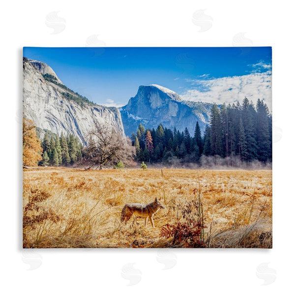 stupell industries Jeff Poe Photography | Wolf Grazing Rural Grassland Clear Sky Mountains Wall Art