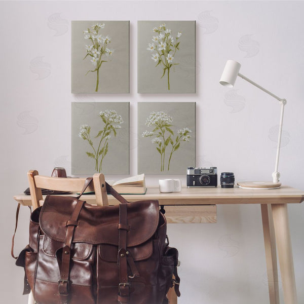 Stupell Industries Jennifer Goldberger | Vintage White Wild Flower Study Soft Petals Wall Art