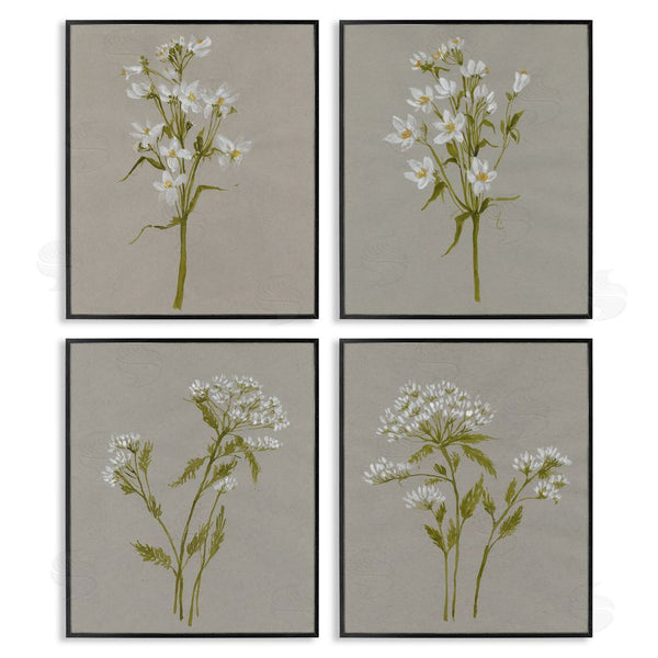 Stupell Industries Jennifer Goldberger | Vintage White Wild Flower Study Soft Petals Wall Art