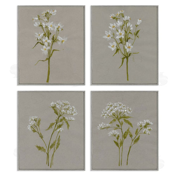 Stupell Industries Jennifer Goldberger | Vintage White Wild Flower Study Soft Petals Wall Art