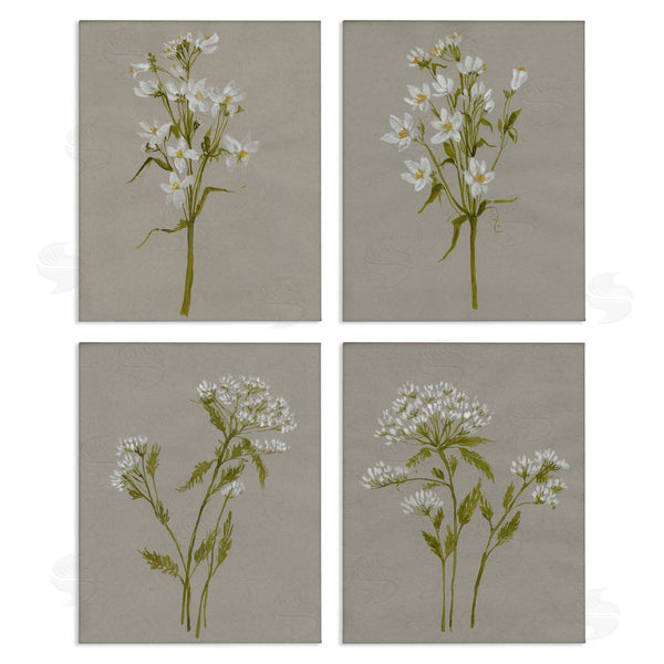 stupell industries Jennifer Goldberger | Vintage White Wild Flower Study Soft Petals Wall Art