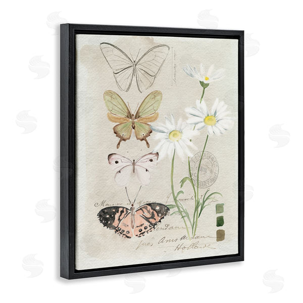 Stupell Industries Jennifer Paxton Parker | Antique Daisy Field Study Earth Tone Color Scale Wall Art
