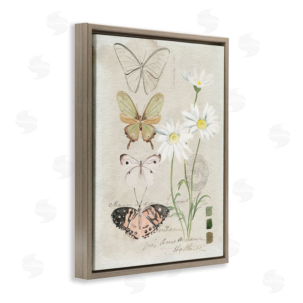 Stupell Industries Jennifer Paxton Parker | Antique Daisy Field Study Earth Tone Color Scale Wall Art