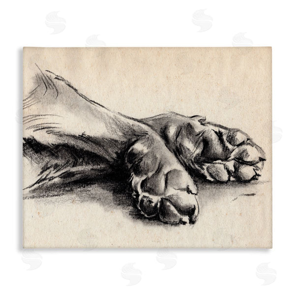 stupell industries Jennifer Paxton Parker | Dog Paw Charcoal Design
