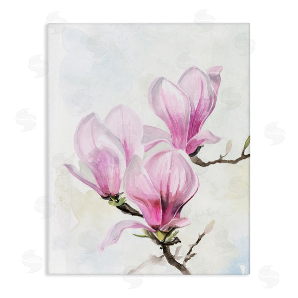 stupell industries Jennifer Paxton Parker | Soft Pink Magnolia Blossoms Watercolor Floral Painting Wall Art