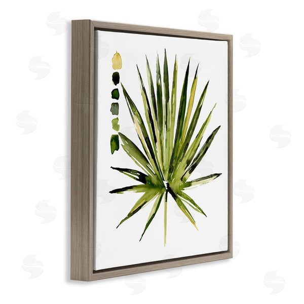 Stupell Industries Jennifer Paxton Parker | Succulent Aloe Plant Spiky Leaves Abstract Paint Scale Wall Art