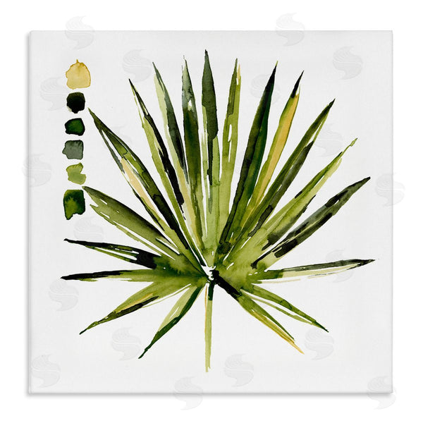 stupell industries Jennifer Paxton Parker | Succulent Aloe Plant Spiky Leaves Abstract Paint Scale Wall Art