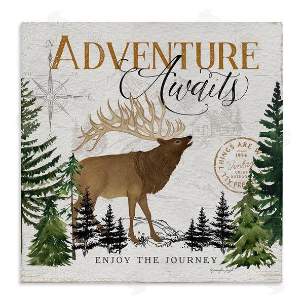 stupell industries Jennifer Pugh | Adventure Awaits Ivory Pines