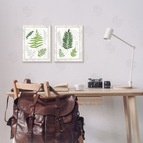 Stupell Industries Jennifer Pugh | Antique Fern Study With Script Forest Greenery Wall Art