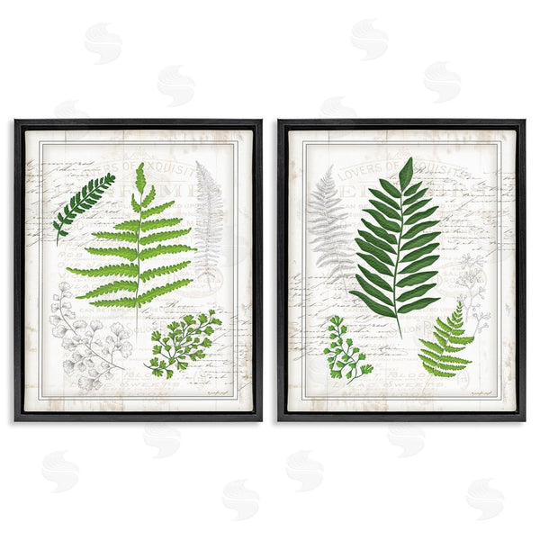 Stupell Industries Jennifer Pugh | Antique Fern Study With Script Forest Greenery Wall Art