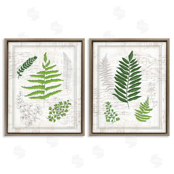 Stupell Industries Jennifer Pugh | Antique Fern Study With Script Forest Greenery Wall Art