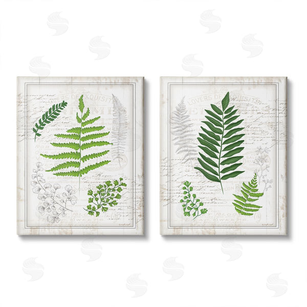 stupell industries Jennifer Pugh | Antique Fern Study with Script Forest Greenery Wall Art