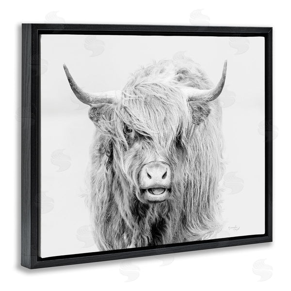 Stupell Industries Jennifer Pugh | Expressive Highland Cattle Monochrome Animal Portrait Wall Art