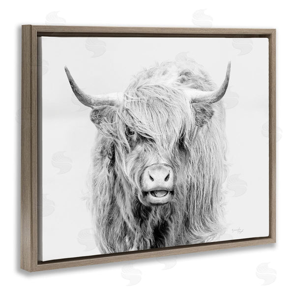 Stupell Industries Jennifer Pugh | Expressive Highland Cattle Monochrome Animal Portrait Wall Art