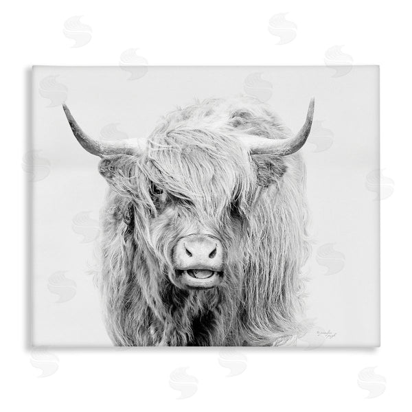 stupell industries Jennifer Pugh | Expressive Highland Cattle Monochrome Animal Portrait Wall Art