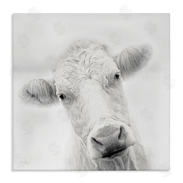 stupell industries Jennifer Pugh | Peaceful Cattle Portrait Close Up Rural Wildlife Wall Art