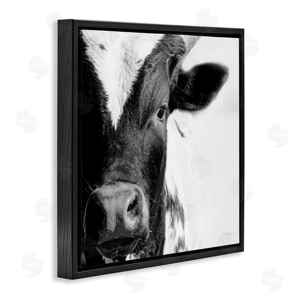 Stupell Industries Jennifer Pugh | Rural Farm Cow Stunning Up Close Photography Wall Art