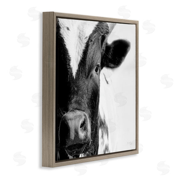 Stupell Industries Jennifer Pugh | Rural Farm Cow Stunning Up Close Photography Wall Art