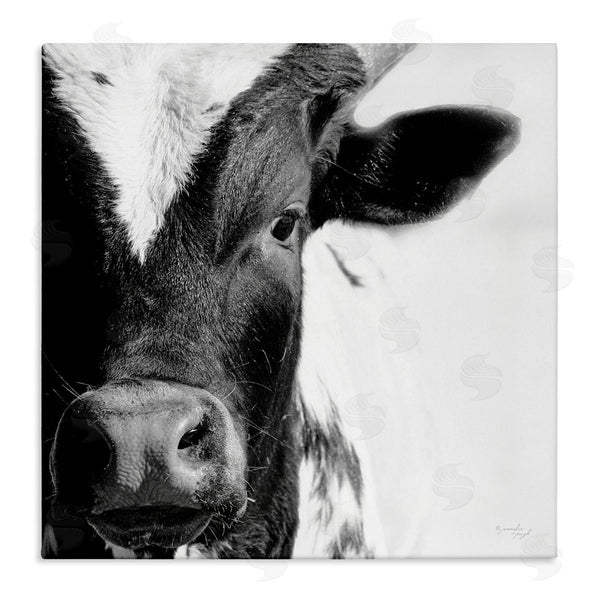 stupell industries Jennifer Pugh | Rural Farm Cow Stunning Up Close Photography Wall Art